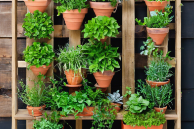 Top 10 Plants Perfect for Vertical Gardens